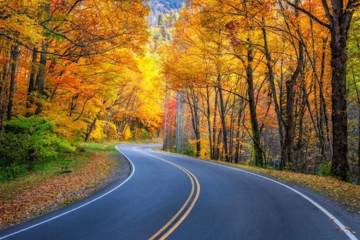 US Fall Color Scenic Drive Guide | compare.com