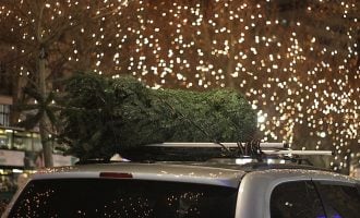 How to Tie a Christmas Tree to Your Car
