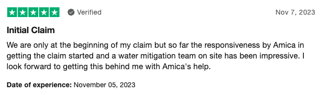 5-star customer review of Amica Insurance