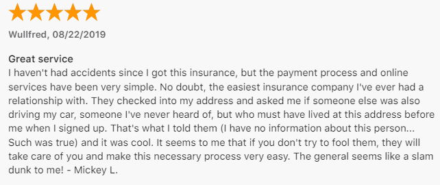 5-star customer review of The General iOS app