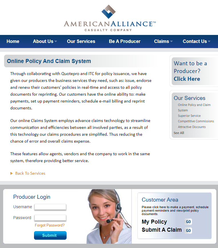 American Alliance web page for online policies