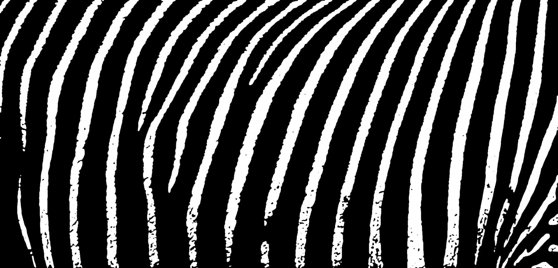 The Zebra Insurance: Is it the Best Place to Get Insurance in 2022?