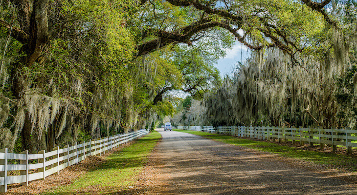 Country road in Louisiana