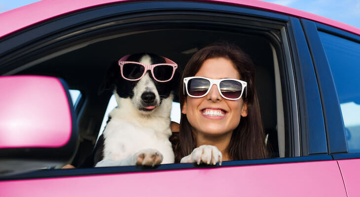 What color cars are more expensive to insure: woman and her dog wearing sunglasses while sitting in their car
