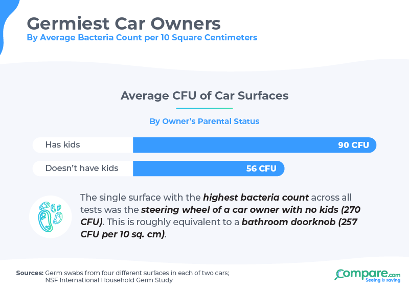 Infographic: germiest car owners