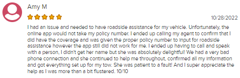 Positive review of State Farm