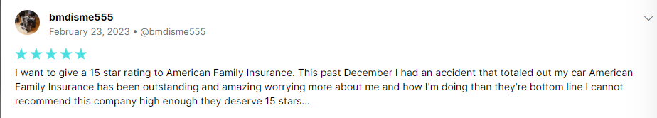 5-star review of American Family claims processing