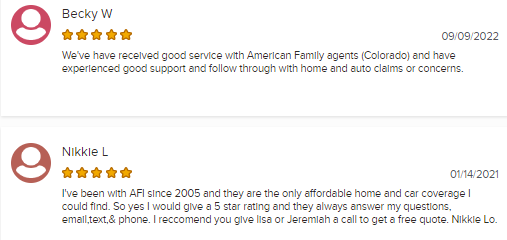 Pair of 5-star customer reviews of American Family