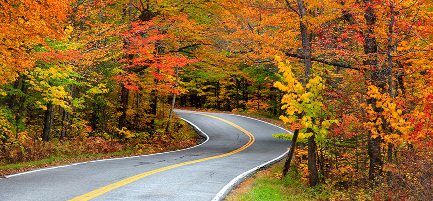 An empty rural road in Vermont